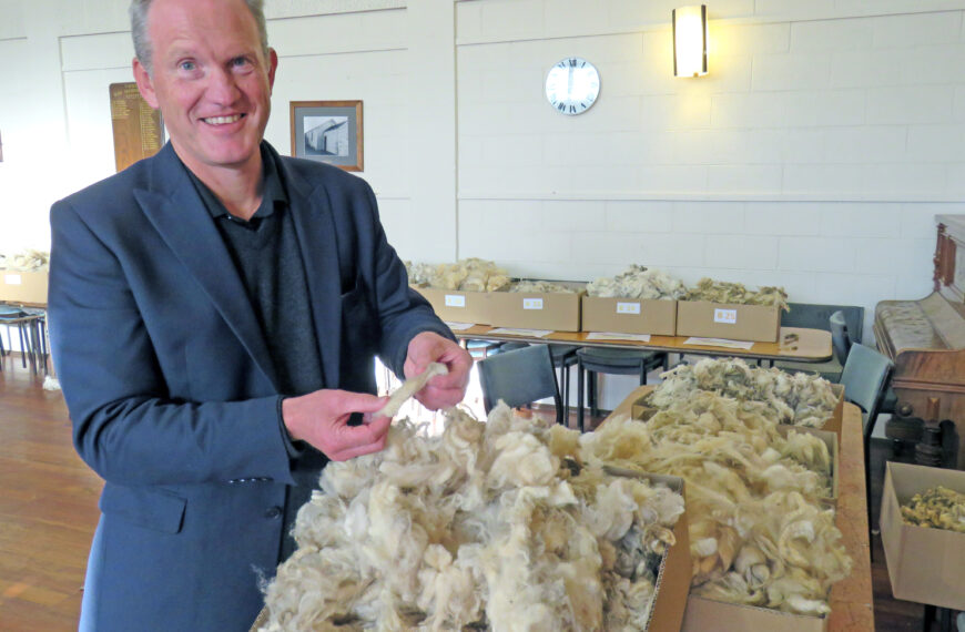 Time right for wool paradigm shift: Wool Impact