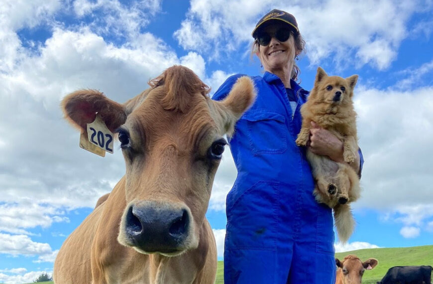 A gift of dairy nourishment at the tick of a box