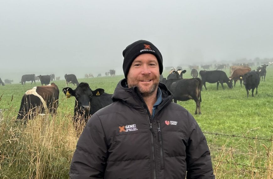 Genomics validate dairy beef sire choice