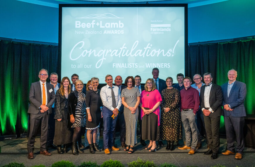 B+LNZ Awards Winners standing on a stage with a big screen behind them.