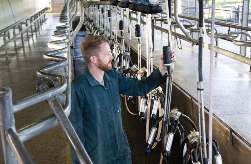 Funding boost for new mastitis tech 