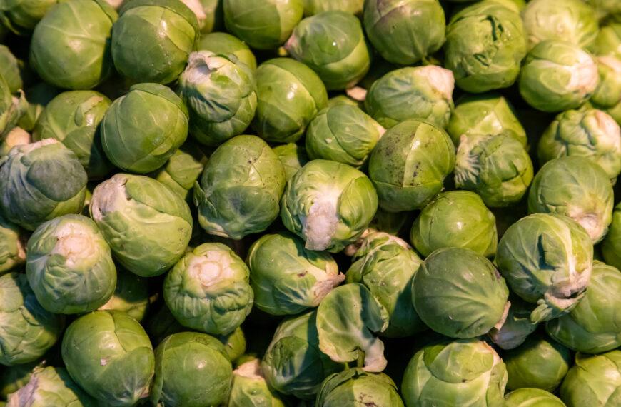 Scientists on mission to enhance Brussels sprout flavour profile