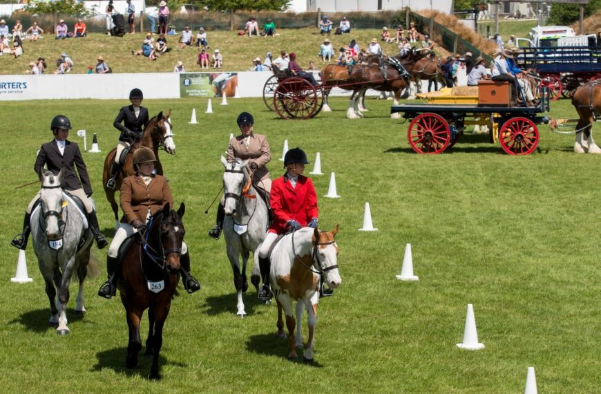 A&P board mulls Canterbury show offer