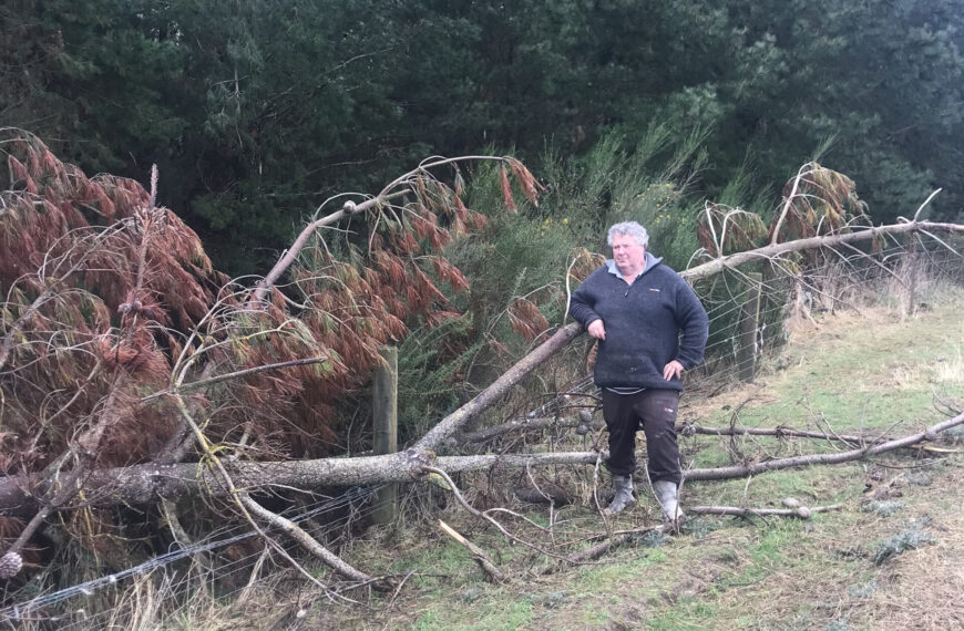 Forestry owners need to help farmers with pest control