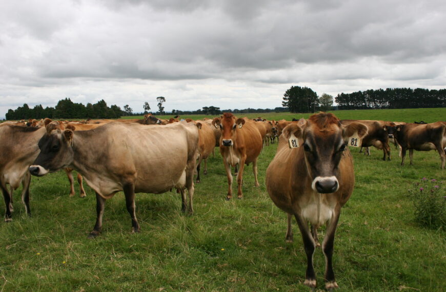 Aussie methane compound clears first hurdle