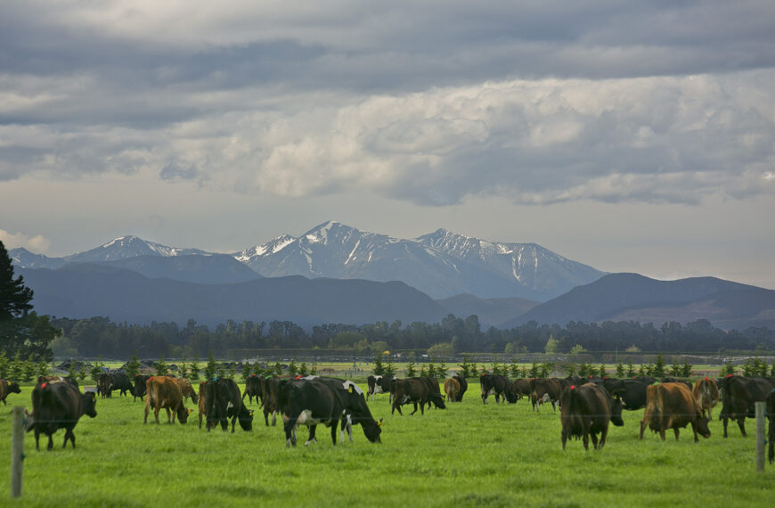 Climate watchdog warns of ag lag on emissions