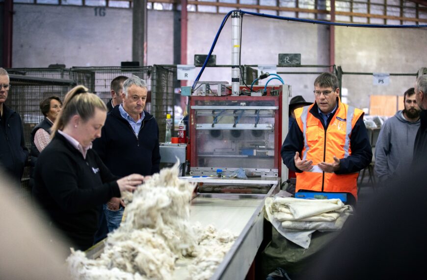 Woolgrowers the heroes in fight against plastic