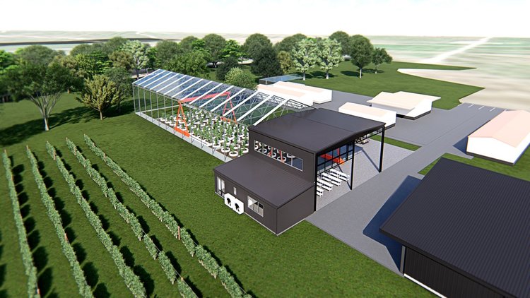 Futuristic vineyard to deliver vintage results