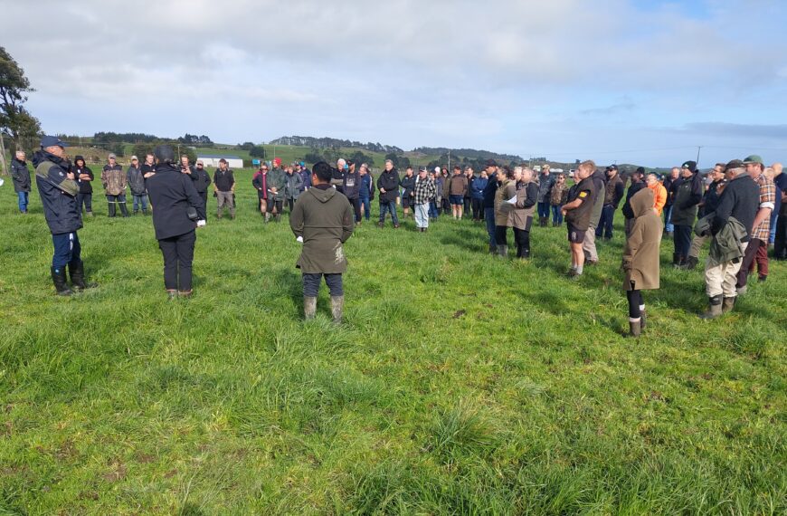 Pasture systems throw up variable dairying results