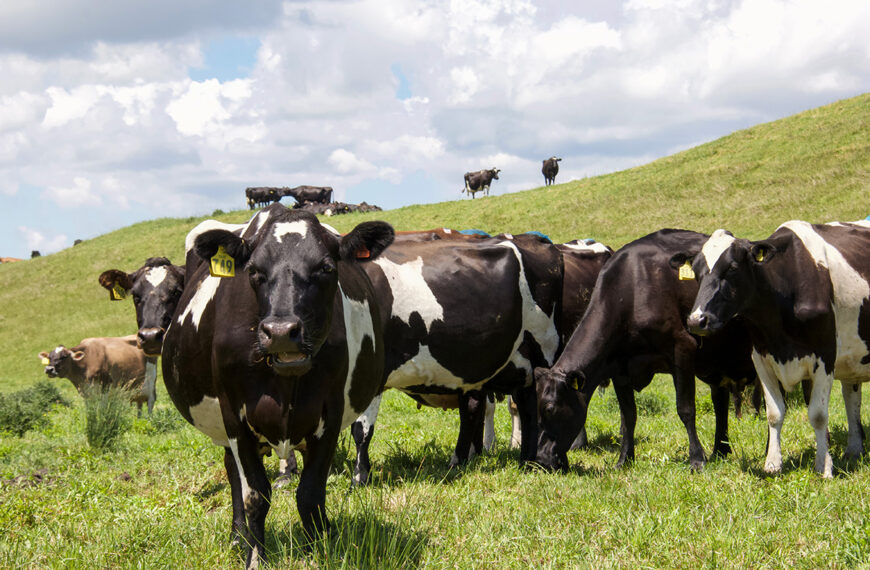 Tread carefully on ag emissions