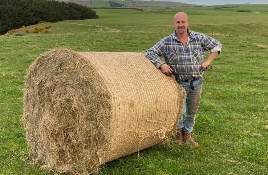 Southland farmer developing edible bale net wrap