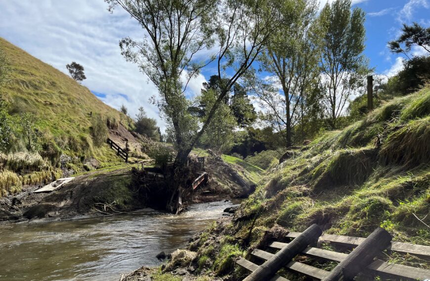 Family finds a way through cyclone devastation