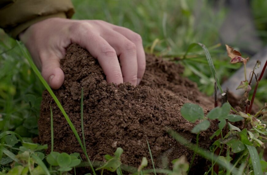 Soil health is about more than ground rules