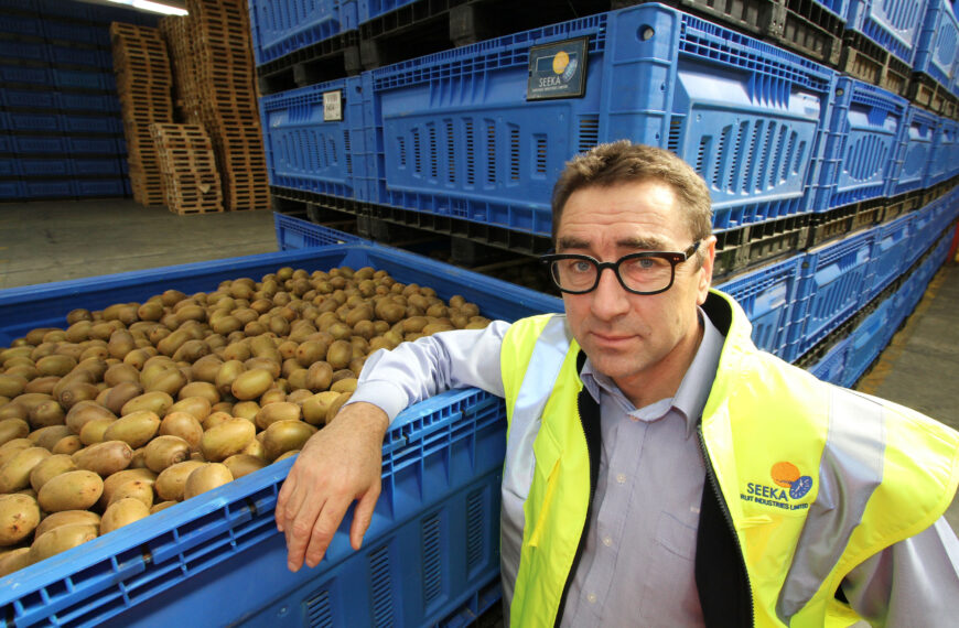 Kiwifruit floods into Seeka’s packing plants