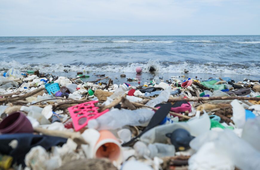 We happen to grow plastic’s natural enemy