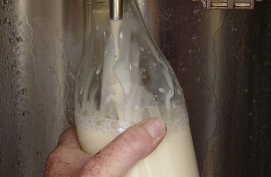 Magnolia Dairy raw milk recalled on health concerns