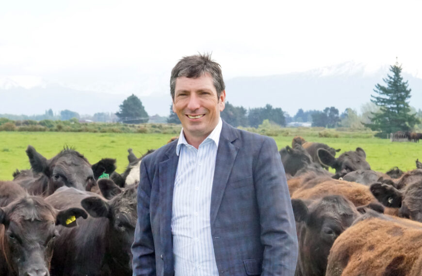 McIvor quits as head of Beef + Lamb NZ