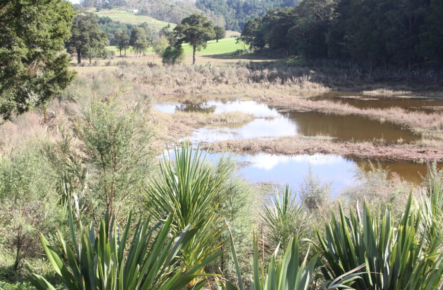 You couldn’t be more wrong about wetlands