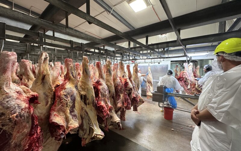 Meat processors face soaring electricity bills