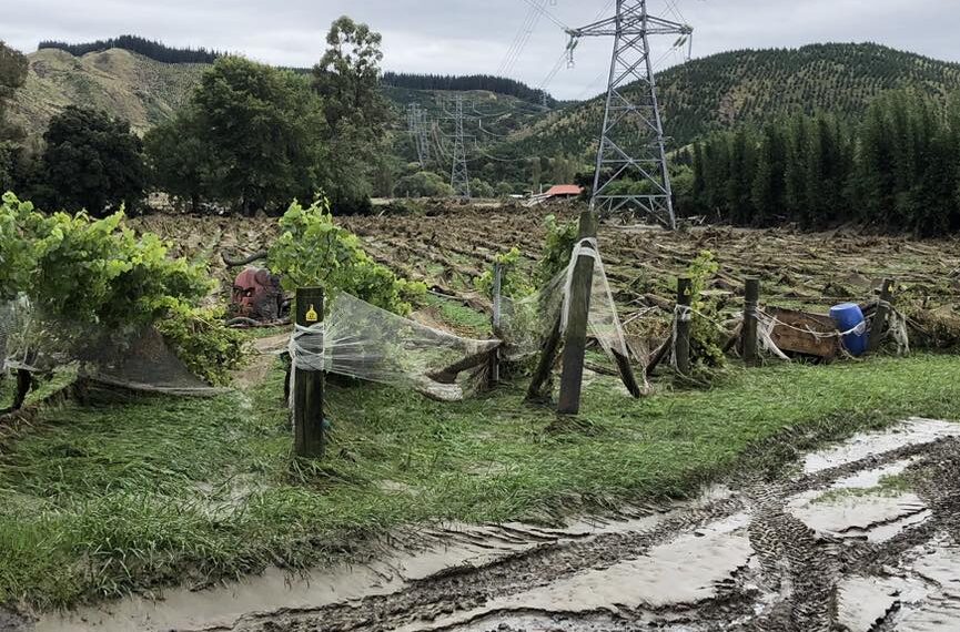 vineyard flooding Hawkes Bay 1