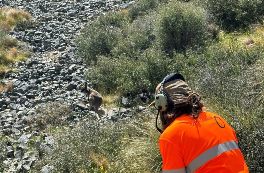 wallaby gps tracking