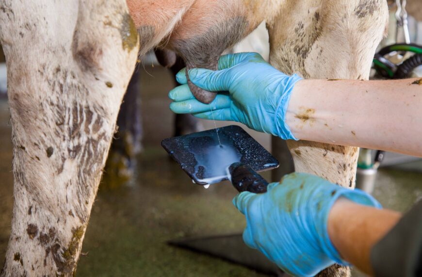 Animal, hort antibiotic sales down for sixth consecutive year