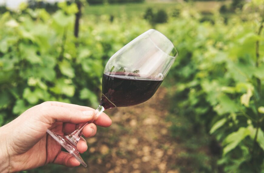 Paperwork nudge for organic wine exporters