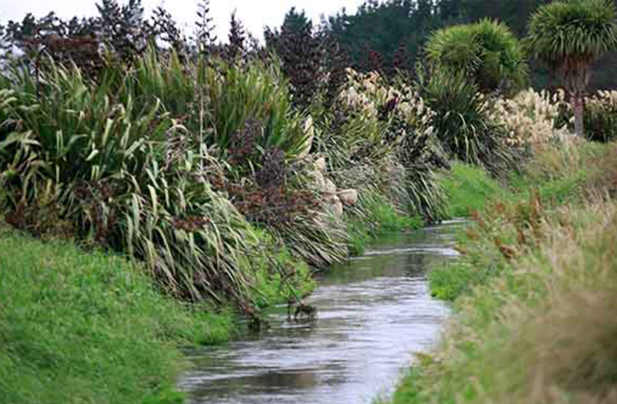 Freshwater Farm Plans rollout on hold