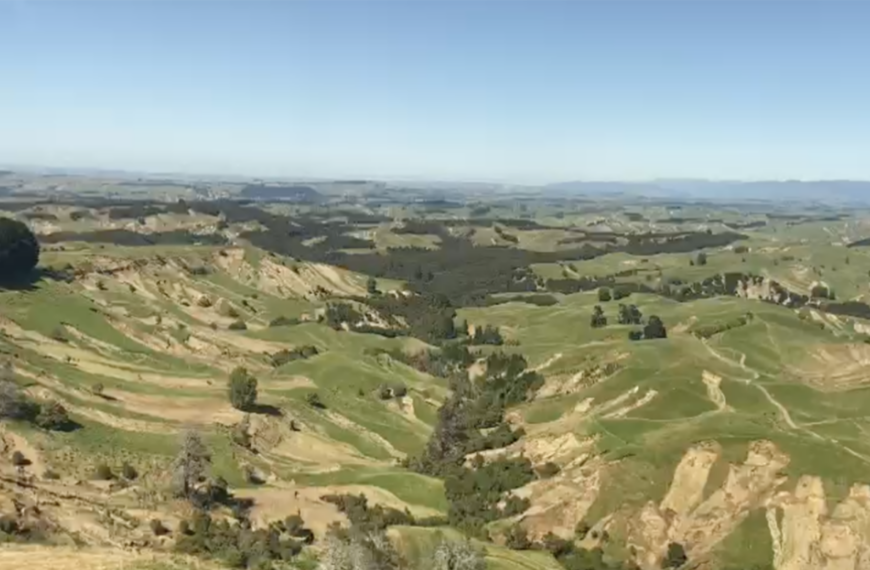 Hawke’s Bay farmers need help, and they need it now