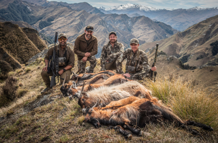 hunters pose with dead stags with snow-capped mountain in the background.